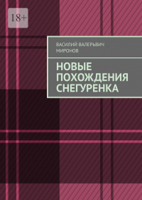 Василий Миронов - Новые похождения Снегуренка