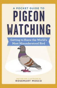 A Pocket Guide to Pigeon Watching: Getting to Know the World's Most Misunderstood Bird