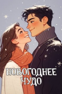 Дэнни Дэш - Новогоднее чудо