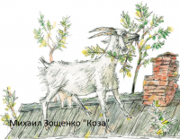 Михаил Зощенко - Коза