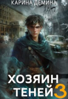 Карина Демина - Громов: Хозяин теней. 3