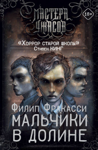 Мальчики в долине