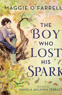 Мэгги О'Фаррелл - The Boy Who Lost His Spark