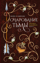 Мэри Пирсон - Хроники Выживших. Книга 3. Очарование тьмы