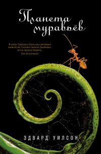 Планета муравьёв