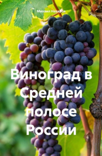 Михаил Назаров - Виноград в Средней полосе России