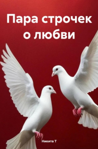 Никита Т - Пара строчек о любви