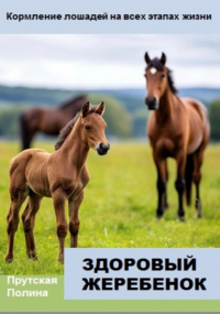 Полина Прутская - Кормление лошадей на всех этапах жизни