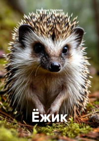  - Ёжик