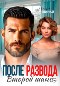 Лиза Шимай - После развода. Второй шанс