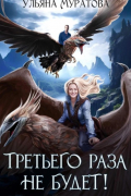 Третьего раза не будет! Книга 1