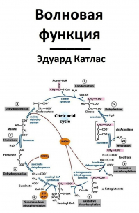 Эдуард Катлас - Волновая функция