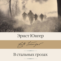 Эрнст Юнгер - В стальных грозах