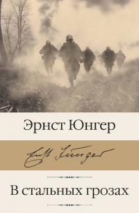 В стальных грозах
