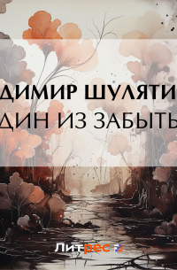 Владимир Шулятиков - Один из забытых