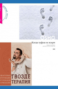  - Когда туфли не жмут. Беседы по историям даосского мистика Чжуан-цзы. Гвоздетерапия. Пошаговая инструкция для внутренней трансформации