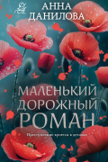 Анна Данилова - Маленький дорожный роман