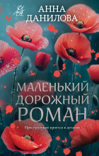 Анна Данилова - Маленький дорожный роман