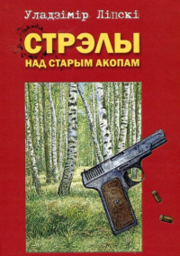 Владимир Липский - Стрэлы над старым акопом