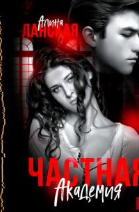 Частная Академия. Книга 2. Осколки