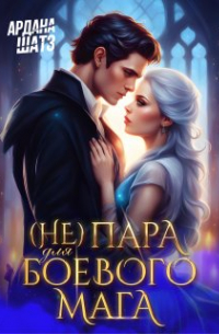 (не) пара для боевого мага