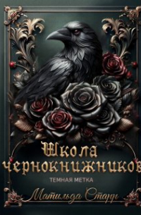 Школа чернокнижников. Темная метка
