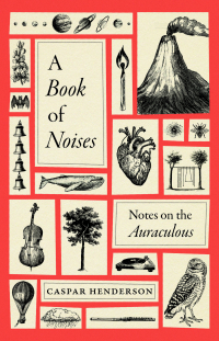 Каспар Хендерсон - A Book of Noises: Notes on the Auraculous