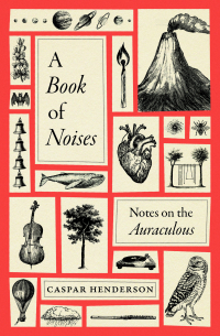 Каспар Хендерсон - A Book of Noises: Notes on the Auraculous