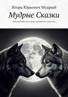 Мудрый И.Ю. - Мудрые Сказки. Психологические сказки для детей и взрослых