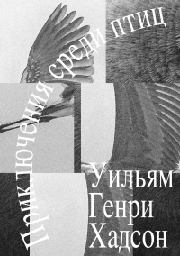 Уильям Хадсон - Приключения среди птиц