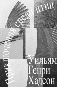 Уильям Хадсон - Приключения среди птиц