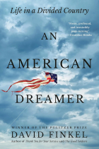 Дэвид Финкель - An American Dreamer