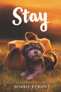 Бобби Пайрон - Stay