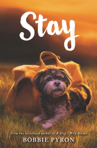 Бобби Пайрон - Stay