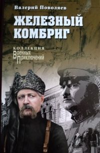 Валерий Поволяев - Железный комбриг