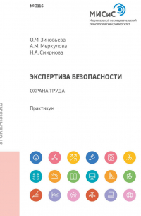  - Экспертиза безопасности. Охрана труда