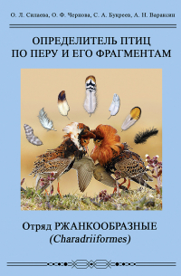  - Определитель птиц по перу и его фрагментам. Отряд Ржанкообразные (Сharadriiformes)