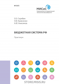  - Бюджетная система РФ