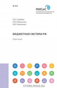  - Бюджетная система РФ
