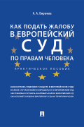 Александр Бирюков - Как подать жалобу в Европейский суд по правам человека