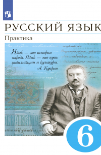 Коллектив авторов - Русский язык. 6 класс. Практика