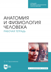О. А. Брусникина - Анатомия и физиология человека. Рабочая тетрадь. Учебное пособие для СПО