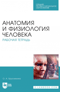 О. А. Брусникина - Анатомия и физиология человека. Рабочая тетрадь. Учебное пособие для СПО