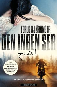 Den ingen ser