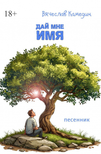 Вячеслав Камедин - Дай мне имя