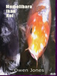  - Memelihara Ikan Koi