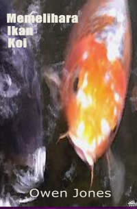  - Memelihara Ikan Koi