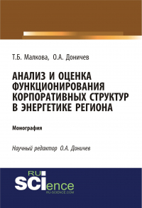  - Анализ и оценка функционирования корпоративных структур в энергетике региона