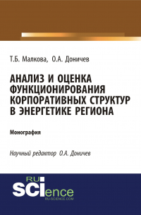  - Анализ и оценка функционирования корпоративных структур в энергетике региона