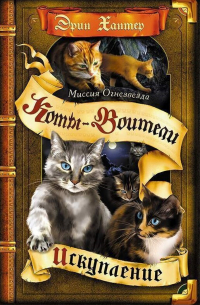 Миссия Огнезвезда. Книга 1. Искупление